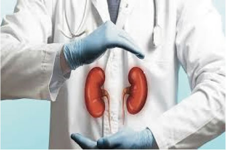 কিডনি ঠিক আছে কিনা জানা যাবে ঘরেই করা সহজ পরীক্ষায়